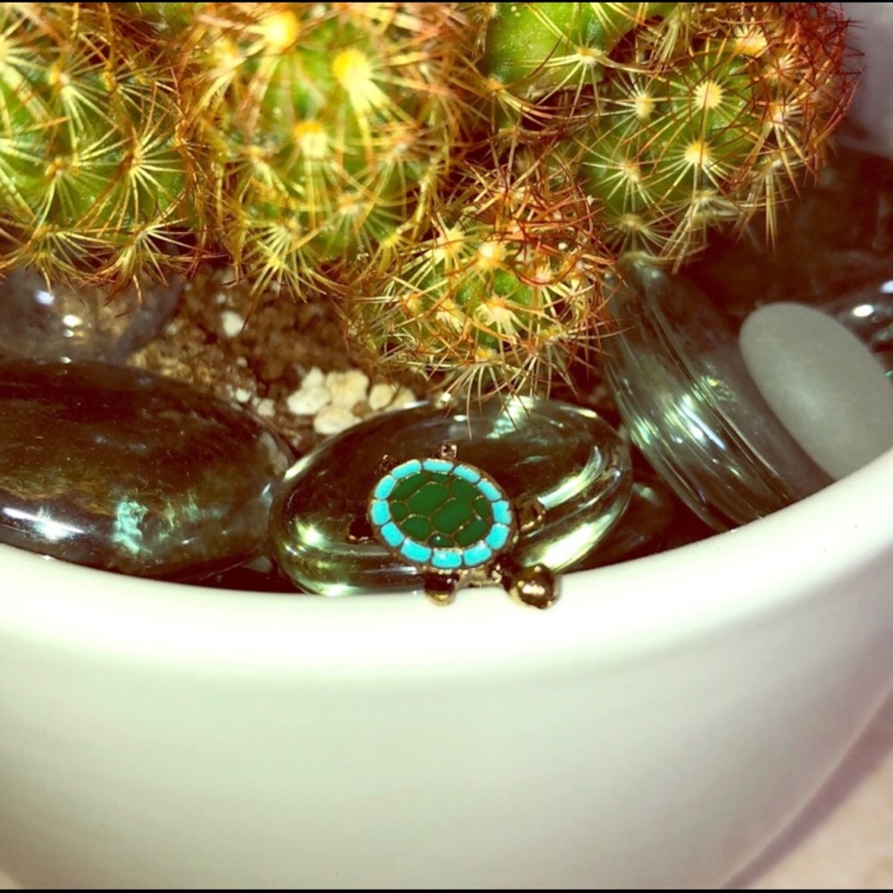 ADORABLE Turtle 🐢 Studs